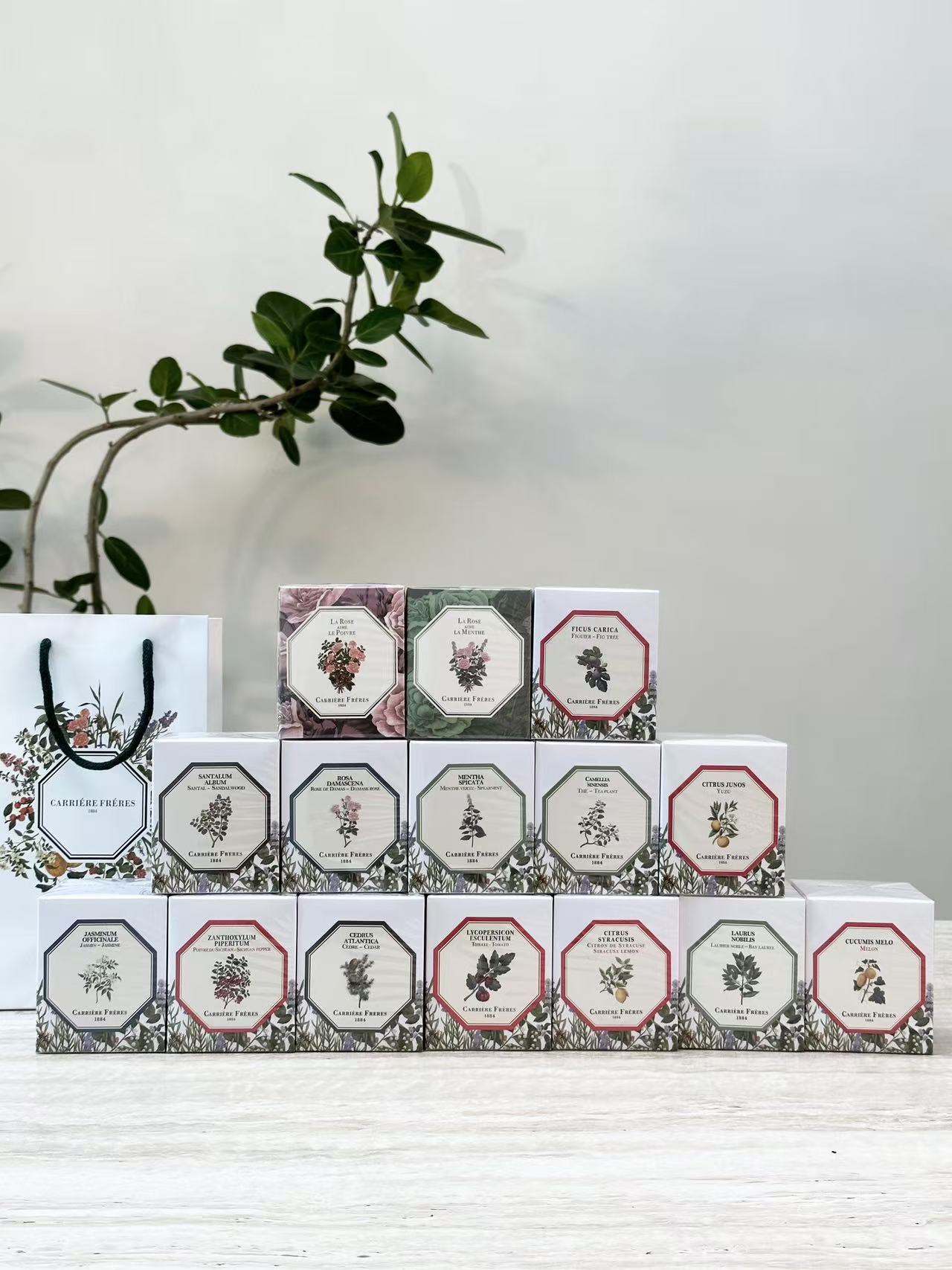 Carrière Frères Scented Candle -185g